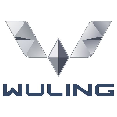 Voiture électrique: Wuling